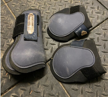 Gamaschen + Streichkappe., Showmaster , Stephanie , Tendon Boots, Graz 