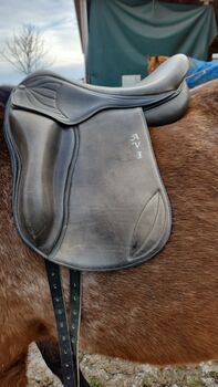 Gangpferdesattel, AVL , Svenja franke, Icelandic Saddle, Rannungen