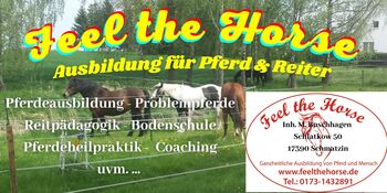 Ganzh. Pferdeausbildung, Beritt, Korrektur, Problempferde, Feel the Horse, Therapie & Behandlung, Schmatzin 