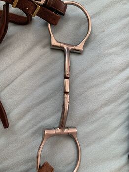 Gebiss einfach gebrochen, Katharina Leis, Gebisse, Schwarzenbach