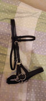 Gebisslose Sidepull Trense Kaltblut