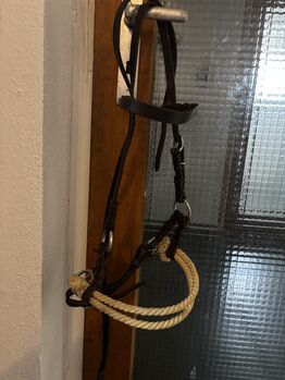Gebisslose Zäumung, Bosal