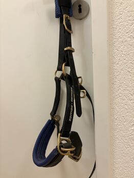 Geitner Kappzaum Michael Geitner