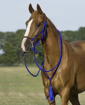 Knotenhalfter mit Zügel und Halsring cob, Tami, Bitless Bridles, Ebersbach