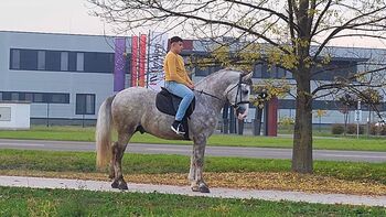 Geritten und Gefahren