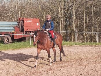 Gesundes Pferd - feines Reiten