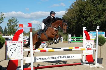 Toller Partner für Sport und Freizeit, Dorothee Dreher , Horses For Sale, Lörrach 