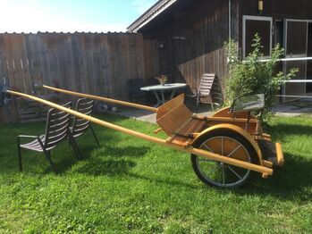 Gig / Sulky aus Eschenholz, ina mravlag, Carriages, Aschau