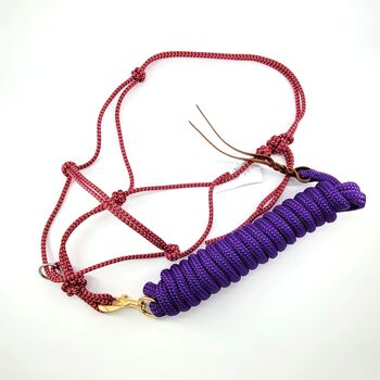 GKH Professional Rope Helix Gleitring Knotenhalfter VALERIA mit Bodenarbeitsseil, Maya (Swisshorseshop), Halters, Frauenfeld