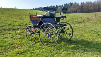 Glinkowski Dressurkutsche, Glinkowski , Martina Schaerer , Carriages, Ostrach