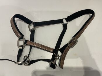 Glitzer Halfter, Sophia Rau, Halters, Nürnberg