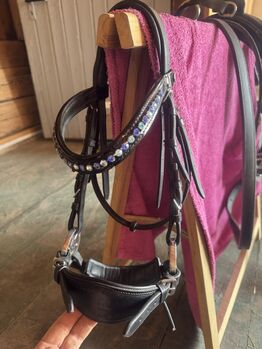 Glücksrad Pony + Kopfstück, Lisa, Gebisslose Zäumungen, Villingen-Schwenningen 