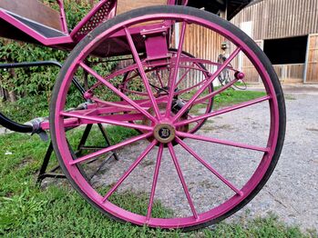 Gepflegter Gig Sulky Kutsche für Pferde ab 150 cm