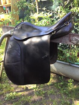 Goertz Champion Sattel, Goertz Champion , Petra Hild, Icelandic Saddle, Schlüchtern 