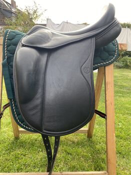 Gold by Black Edition von Eques 17“ Latex, Eques Gold by Black Edition, Frieda , Icelandic Saddle, Neumünster 