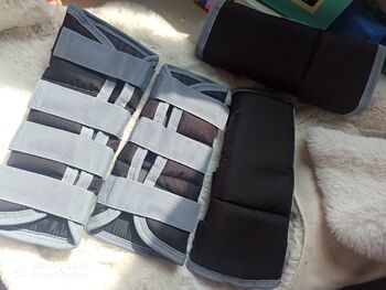 Goldhorse Transportgamaschen Pony, Goldhorse , Michelle, Tendon Boots, Krefeld 
