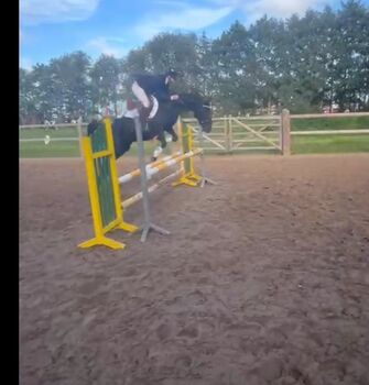 Brave Ponystute