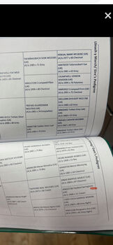 Gorgeous colt with papers looking for a new home