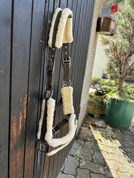 Graues Halfter Showmaster Halfter