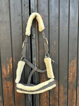 Graues Halfter, Showmaster Halfter, Iris, Halters, Weiz