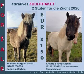 Tolle 4-Gängerin zum Selbstausbilden