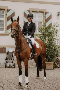 Toller Westfale sucht neues Zuhause als Freizeitpartner, Pferdevermittlung Leus (Pferdevermittlung Leus ), Horses For Sale, Henstedt Ulzburg