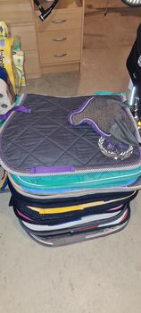 Graues HV Polo Set, HV Polo, Chiara, Dressage Pads, Soltau