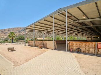 Griechenland, südöstl von Athen, Kalyvia