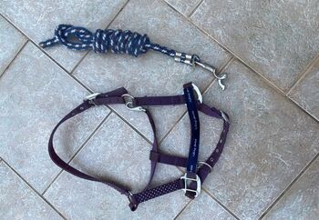 halfter mit strick pony/cob, Emely Knoof, Halters, Trebsen