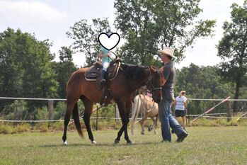 Großrahmige, ausdrucksstarke Quarter Horse Stute