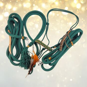 Grosses Set Sidepull Zügel Leadrope Halsring COB, Maya (Swisshorseshop), Halters, Frauenfeld