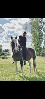 Geführte Ausritte, Charlotte, Horse Sharing, Panketal