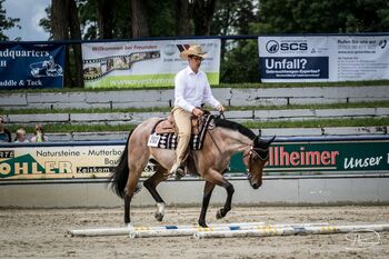 Gut gerittene QH Stute mit viel Potential, Kerstin Rehbehn (Pferdemarketing Ost), Pferd kaufen, Nienburg