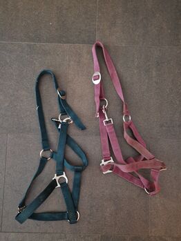 Halfter WB, Maren, Halters, Reutte