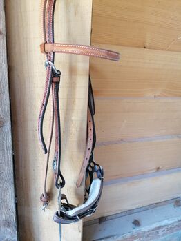 Hackamore gebisslos
