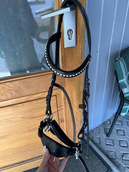 Hackamore Cob, Pia , Bitless Bridles, Straufhain 