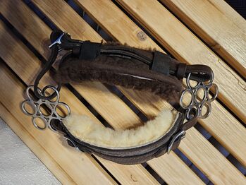 Hackamore Flower Gebisslos Glücksrad, Kirsten Reiser, Bitless Bridles, Weil der Stadt