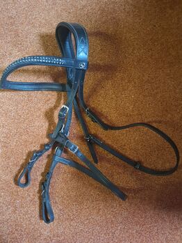 Hackamore Zaum, Groskorth  Venice, Diana Bock , Bitless Bridles, Monheim
