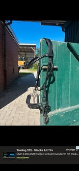 Hackamore VB, Bridlery / No Name, Kaja, Bridles & Headstalls, Wilhelmshaven
