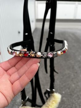 Hackamore WB
