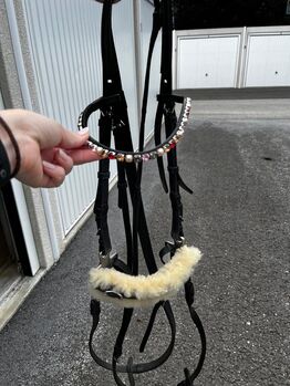 Hackamore WB, Lisa , Trensen, Unternberg
