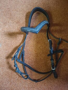 Hackamore Zaum Groskorth  Venice