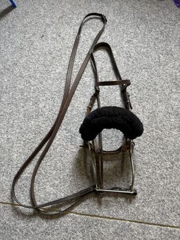 Hackmore mit Zaum