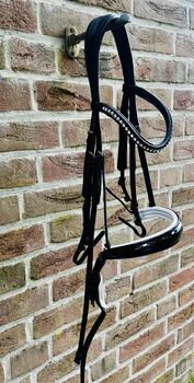 Horse Star Kandare Oslo, Horse Star Oslo, Fie, Bridles & Headstalls, Kempen