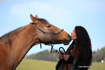 🐴 Pferde lernen nicht von uns – sie lesen uns., Sandra Anna Wanner, Sandra Anna, Courses & Seminars, Tecknau