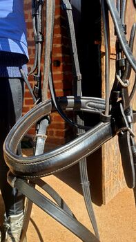 Pferdetrense --- Trense