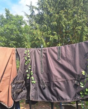 Pferde decke Outdoor set, Waldhausen hkm, Jolina, Horse Blankets, Sheets & Coolers, Lübeck