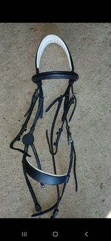 Horse bridle for sale