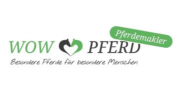 Pferdegerechter Beritt Unterricht Pferdeausbildung Korrektur Pferdevermarktung Verkaufspferde
