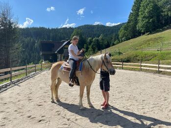 Haflingerstute für Freizeitreiter, Selina Trummer, Horses For Sale, St. Stefan ob Stainz